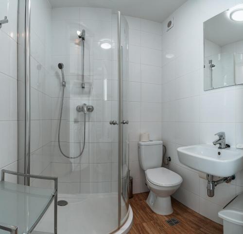 卢托维斯卡Zatwarnica的带淋浴、卫生间和盥洗盆的浴室