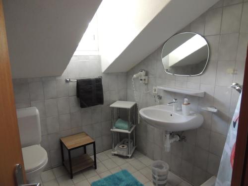 SavièseChambre d'hôte du Moulin的一间带水槽、卫生间和镜子的浴室