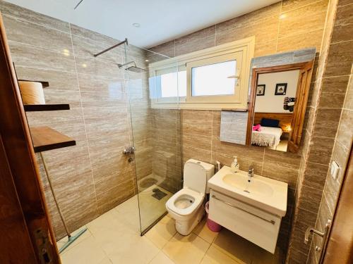 达哈布Ocean Life Dahab的浴室配有卫生间、盥洗盆和淋浴。