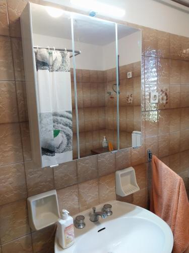 Kostanjevica na KrasuLuketovi的一间带水槽和镜子的浴室
