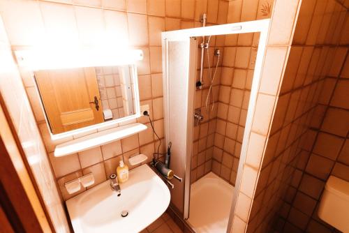 RetteneggDie Lams的一间带水槽和淋浴的小浴室
