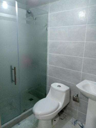 LiceyApartamento Amublado con piscina的浴室配有卫生间、淋浴和盥洗盆。