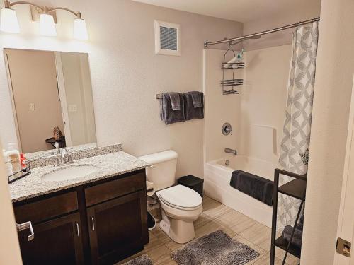 罗切斯特2 Bedroom Brand New Apartment Near Mayo, Park Free的浴室配有卫生间、盥洗盆和淋浴。