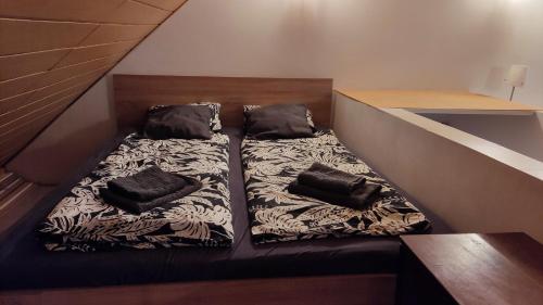 蒂豪尼Peace & Beach House in Tihany, Sajkod的两张睡床位于一间房间内的地板上