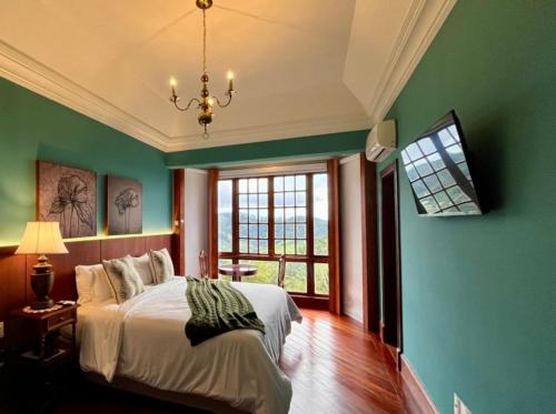 佩德拉阿祖尔阿罗索帕考酒店的一间卧室设有绿色的墙壁、一张床和窗户