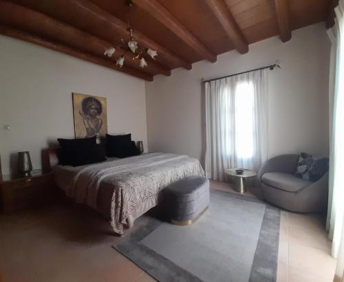 卡米拉日Villa archontiko的卧室配有床、椅子和窗户。