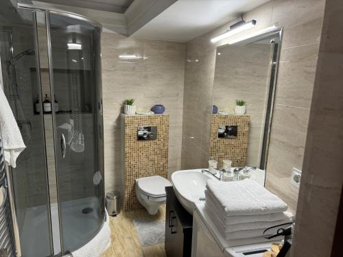 克卢日-纳波卡Pretty Luxury Apartament's的浴室配有卫生间、盥洗盆和淋浴。