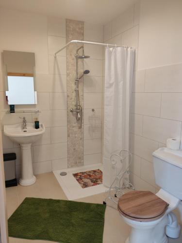 林斯托Inspektorenhaus Dobbin Ferienpension的带淋浴、卫生间和盥洗盆的浴室