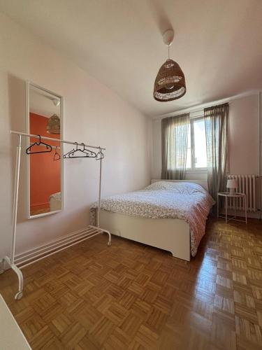 雷恩Appartement 3 chambres的一间卧室配有一张床和镜子