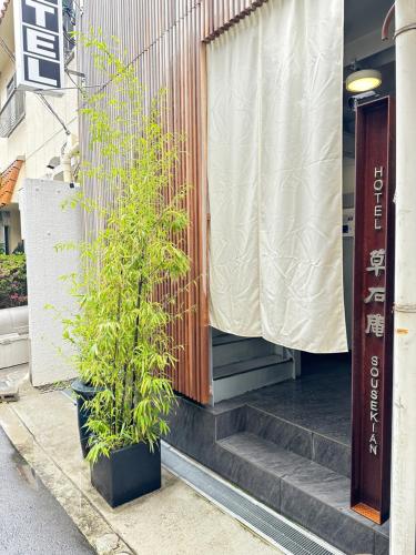 大阪Hotel 草石庵的坐在建筑物台阶上的植物