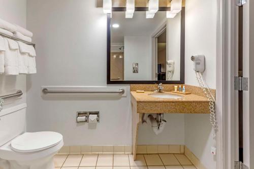 纽波特纽斯弗吉尼亚州纽波特纽斯南部雷迪森乡村套房酒店的一间带卫生间、水槽和镜子的浴室