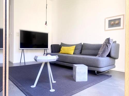 科隆Zehuus Gartenstudio mit Terrasse的客厅配有灰色的沙发和电视