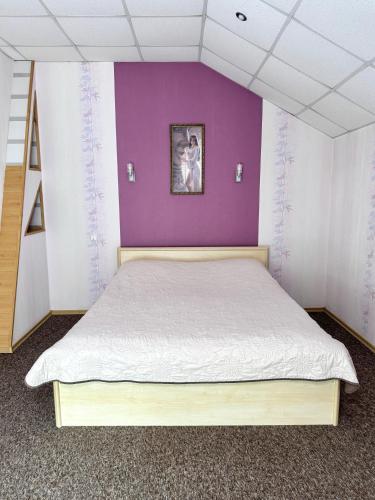 布罗瓦里Hotel Vesta的一间卧室配有一张大床和紫色墙壁