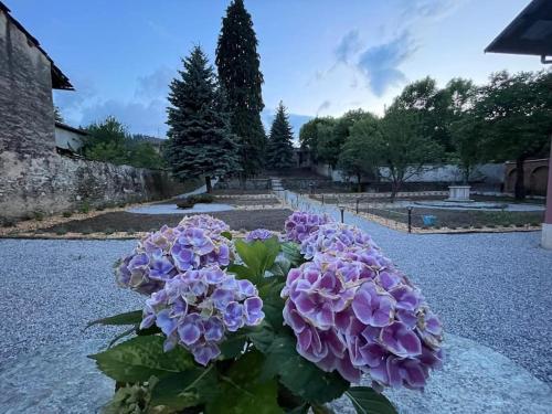 Chiusa di PesioLa casetta nel parco的地上一束紫色花