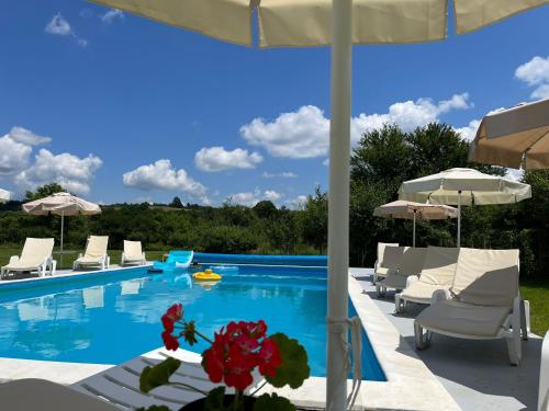 埃伦娜Guest House Gerasimovi的一个带白色椅子和遮阳伞的游泳池