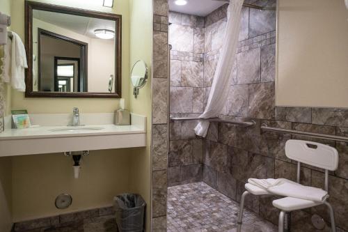 雷德温雷德温埃梅里克酒店的一间带水槽和淋浴的浴室