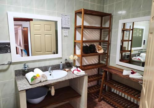 拉迪格岛比松住宿加早餐旅馆的一间带水槽和镜子的浴室