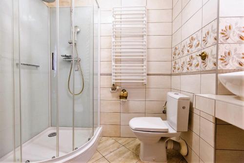 韦特利纳Gościniec Horb的带淋浴、卫生间和盥洗盆的浴室