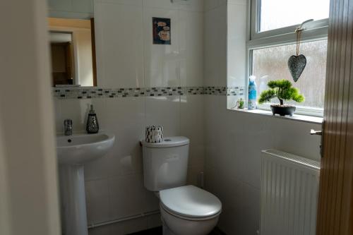 沃里克The Plumb Townhouse in Warwick Centre的一间带卫生间、水槽和窗户的浴室