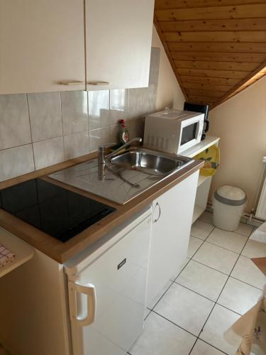 赫维兹阿法玛多费斯里公寓的厨房配有水槽和微波炉