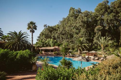 阿加迪尔达尔马克吐布酒店的棕榈树游泳池及度假村
