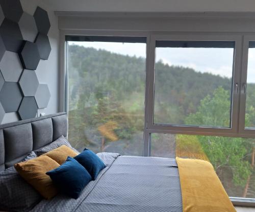 迪瓦伊巴雷Divchy dream studio的一间卧室设有一张床和一个大窗户