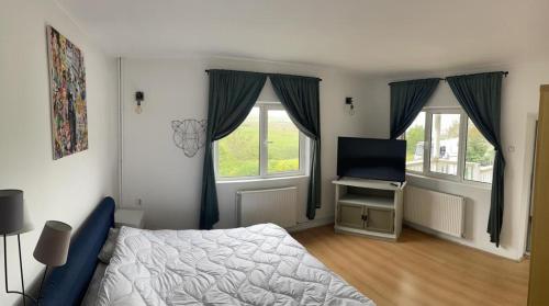 Countryside Home的一间卧室设有一张床、一台电视和两个窗户。