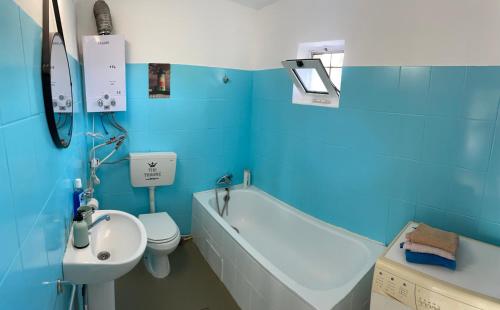 Countryside Home的蓝色的浴室设有卫生间、浴缸和水槽。