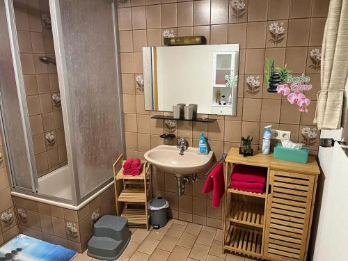 蒂蒂湖-新城Haus Sommerberg的一间带水槽和淋浴的小浴室