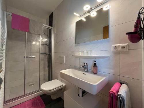 米尔施塔特河边穆勒旅馆的一间带水槽、卫生间和淋浴的浴室