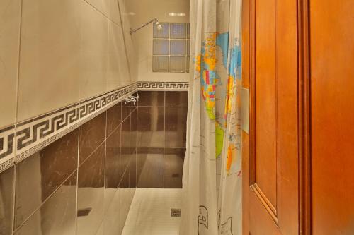 霍巴特阿斯特私人酒店的带淋浴和浴帘的浴室