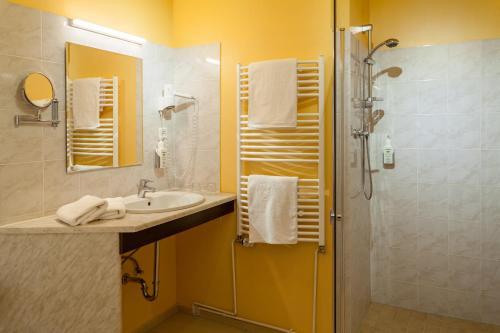 费尔登祖尔林登兰德酒店的一间带水槽和淋浴的浴室