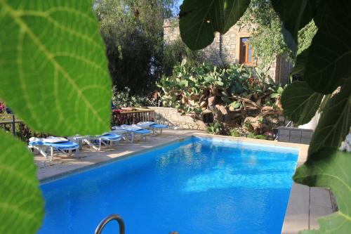 达特恰Eski Datça Pansiyon的一座带椅子和植物的大型蓝色游泳池