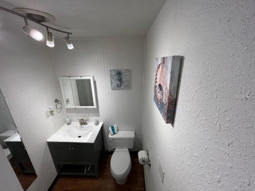 布尔海德市3 bedroom, 2 bath 1 min walk to the beach的一间带水槽、卫生间和镜子的浴室