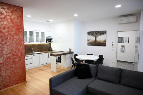 卢布尔雅那Argo Apartments的带沙发和桌子的客厅以及厨房。