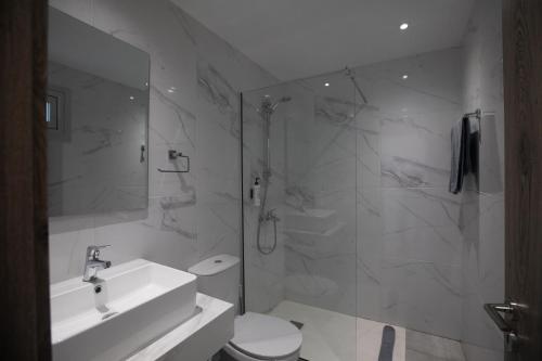 阿依纳帕帕富力尼亚公寓酒店的浴室配有卫生间、盥洗盆和淋浴。