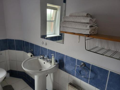 科克Sheraton Lodge Apartments t12e309的浴室配有盥洗盆、镜子和毛巾