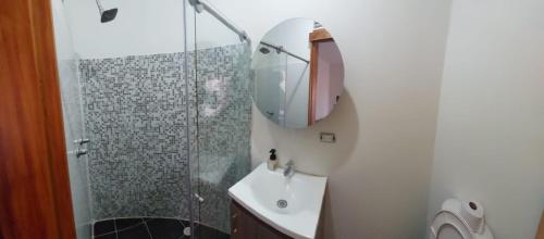 马尼萨莱斯Casa Palermo Manizales的带淋浴、盥洗盆和镜子的浴室
