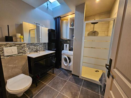 维特罗勒Ni 100%Gite,Ni100% loc chez Kheira&Pascal的一间带卫生间和洗衣机的浴室
