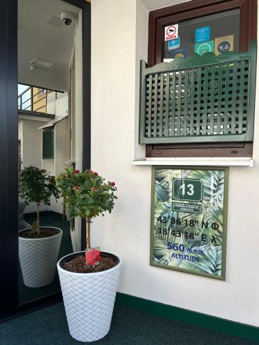 萨拉热窝Halvat Guesthouse的两棵盆栽的树坐在墙上