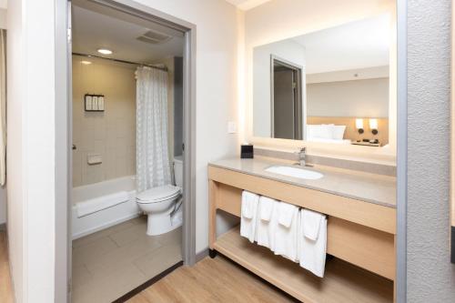 夏洛特夏洛特阿罗伍德凯悦嘉轩酒店的一间带水槽、卫生间和镜子的浴室