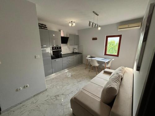苏科尚Apartments by the sea Sukosan, Zadar - 12313的带沙发的客厅和厨房
