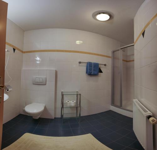 施图拜河谷新施蒂夫特Doadlerhof的一间带卫生间和淋浴的浴室
