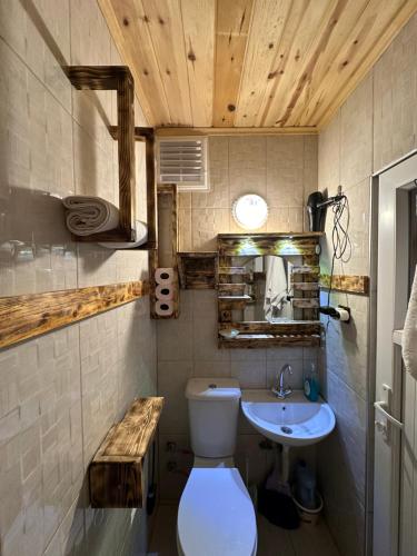 特拉布宗Trabzon Mountain House-UZUNLU的一间带卫生间和水槽的浴室