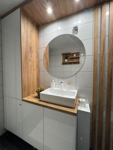 索科矿泉村Holiday Lux Apartment的一间带水槽和镜子的浴室