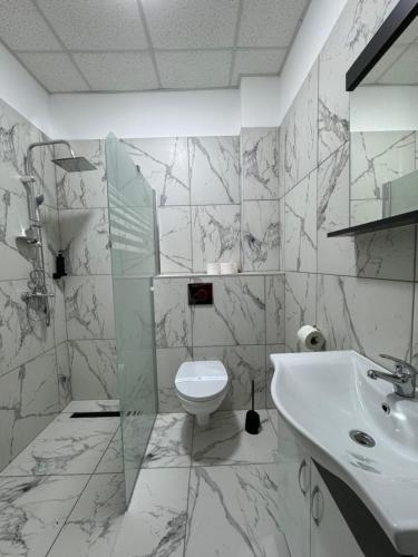普洛耶什蒂Hotel Daly的白色的浴室设有水槽和卫生间。