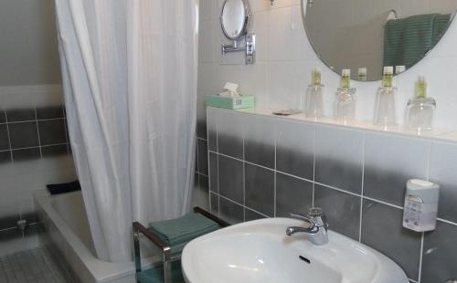 Newel泽恩尼尔乡村酒店的一间带水槽、镜子和淋浴的浴室