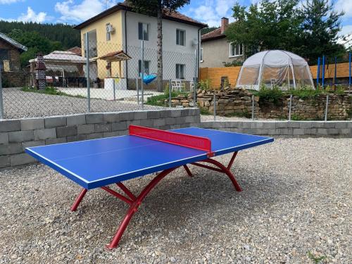 Lipite Guest House的院子里的一张蓝色和红色的乒乓球桌