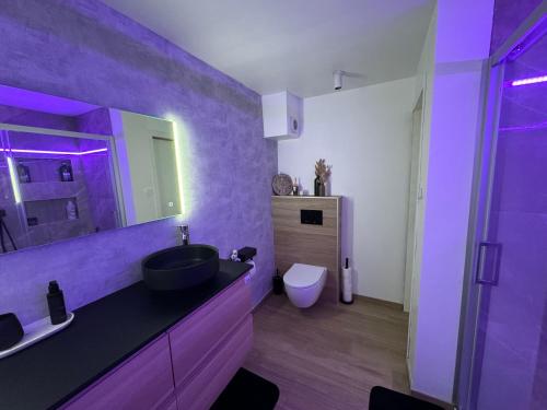 瑟兰Duplex 100m2 style contemporain的紫色浴室设有水槽和卫生间