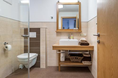玛丽亚阿尔姆菲瑞恩内斯特莱特纳公寓的一间带卫生间、水槽和镜子的浴室